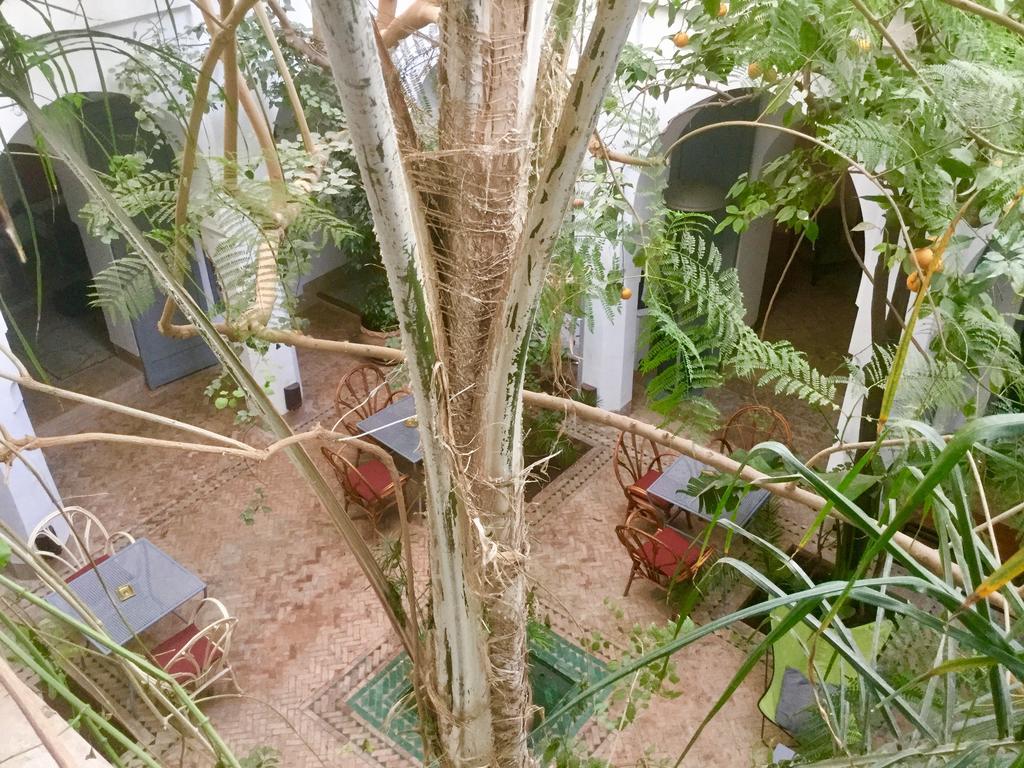 Hôtel Dar Binebine à Marrakesh Extérieur photo